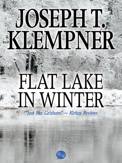 Cover image for Flat Lake in Winter